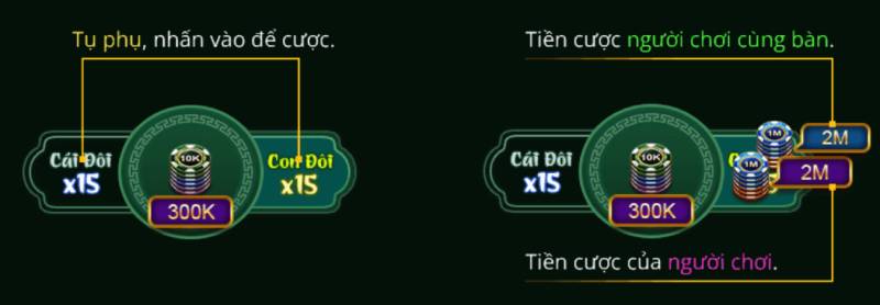 Xì Dách Hoàng Gia Là Gì? Mẹo Chơi Đỉnh Nóc Từ Cao Thủ 6 Cách Đặt Cược Trong Xì Dách Hoàng Gia